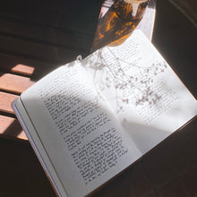 Load image into Gallery viewer, Carpe Diem ⟡ Dot-Grid Journal