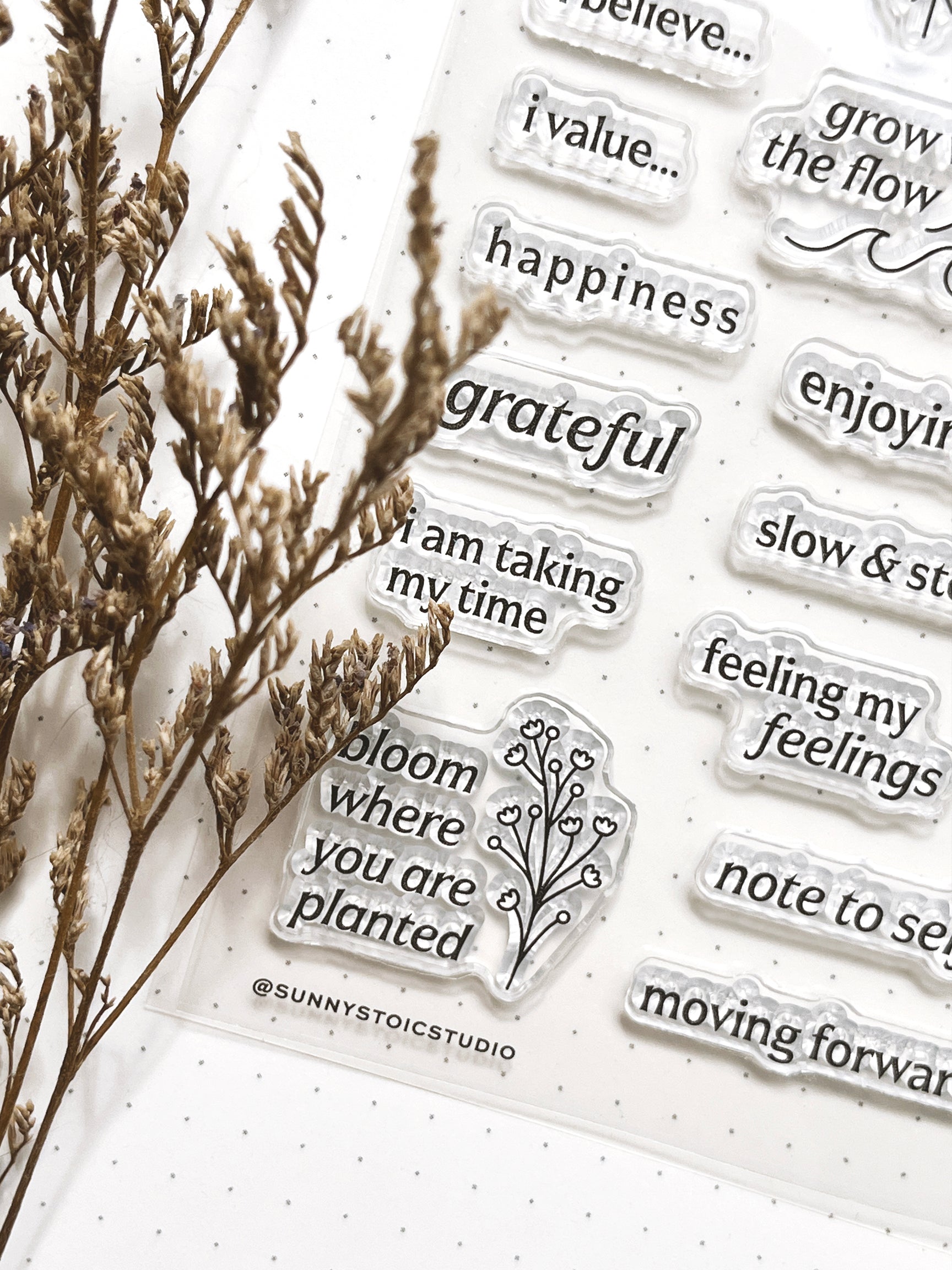 Sunny Stoic Studio – Opening Soon