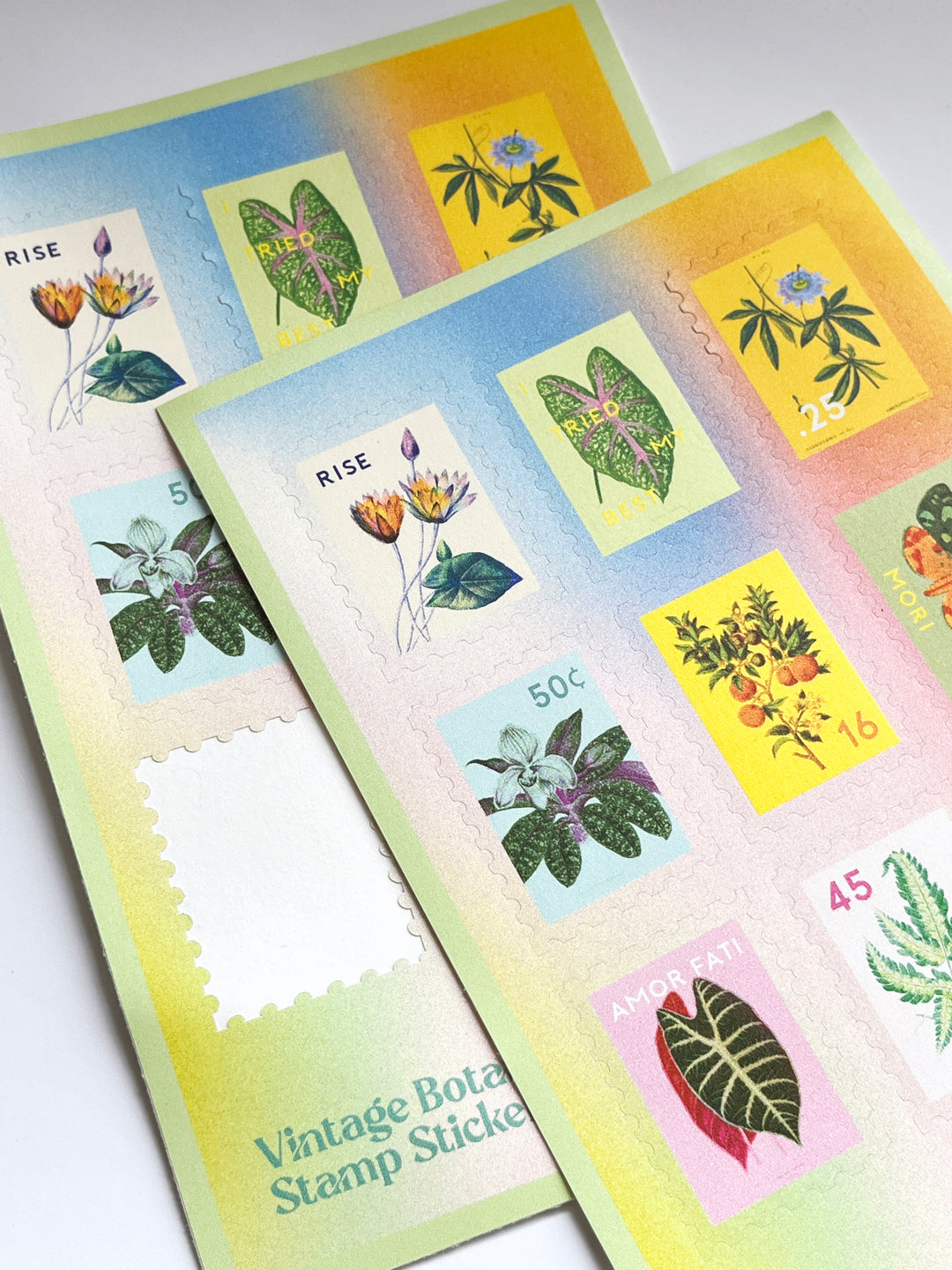 Vintage Botanical Stamp Sticker Sheet – Sunny Stoic Studio