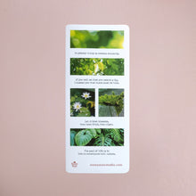 Load image into Gallery viewer, Nature&#39;s Delight Washi Sticker Sheet
