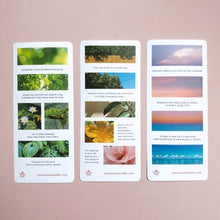 Load image into Gallery viewer, Nature&#39;s Delight Washi Sticker Sheet
