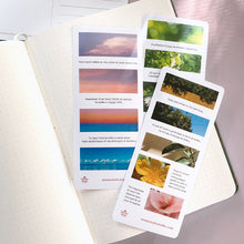 Load image into Gallery viewer, Nature&#39;s Delight Washi Sticker Sheet
