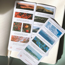 Load image into Gallery viewer, Travelogue Washi Sticker Sheet
